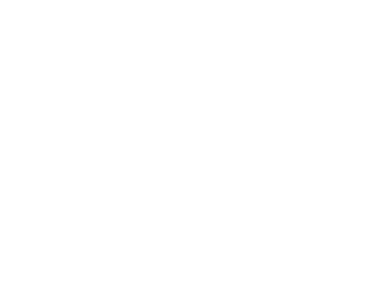 Vanta Shoes